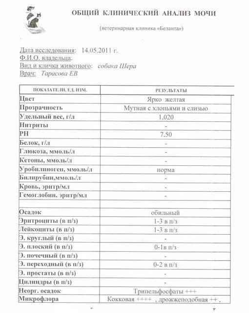 Тест анализ мочи с ответами. Анализ мочи бланк заполненный норма. ОАМ анализ форма. Общий анализ мочи заполнение бланков. Бланк анализа на общий анализ мочи образец.