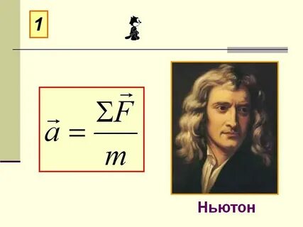 Размерность ньютона