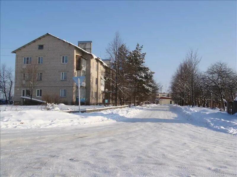 можайский г. о. деревня котельное. учхоз александрово. учхоз александрово можайский район.