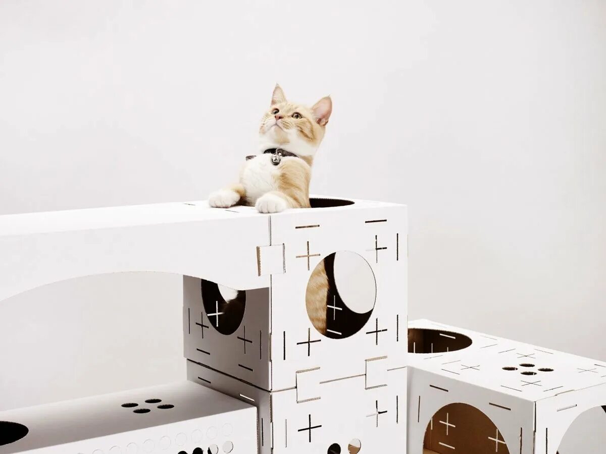Сделать кота из коробки. Домик Лабиринт для кошки. Картонные домики для котов. Картонный домик для кошки. Коробка домик для кошки.