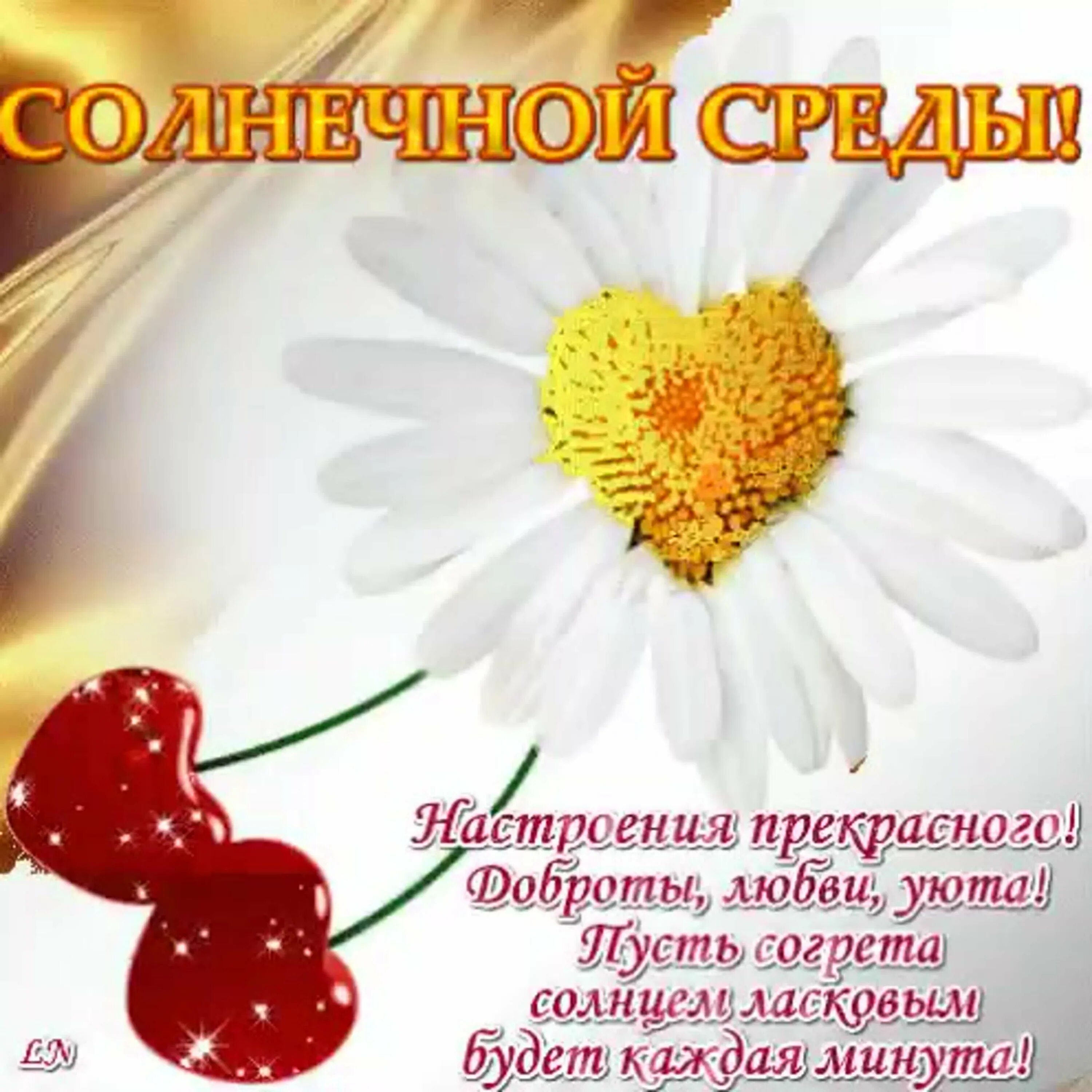 Доброе утро среды и прекрасного дня. Поздравление со средой. доброй солнечной среды. среда пожелания хорошего дня. прекрасной солнечной среды.