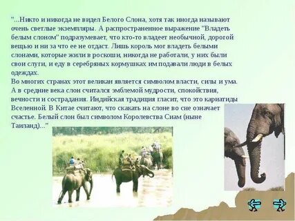 Иногда называют