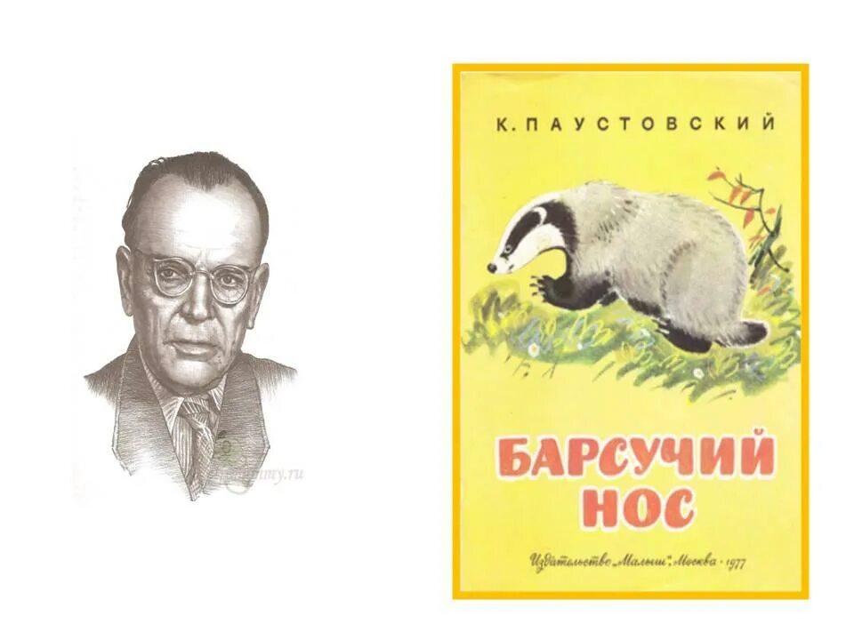 К. Паустовский "барсучий нос". Книжка Паустовский барсучий нос.