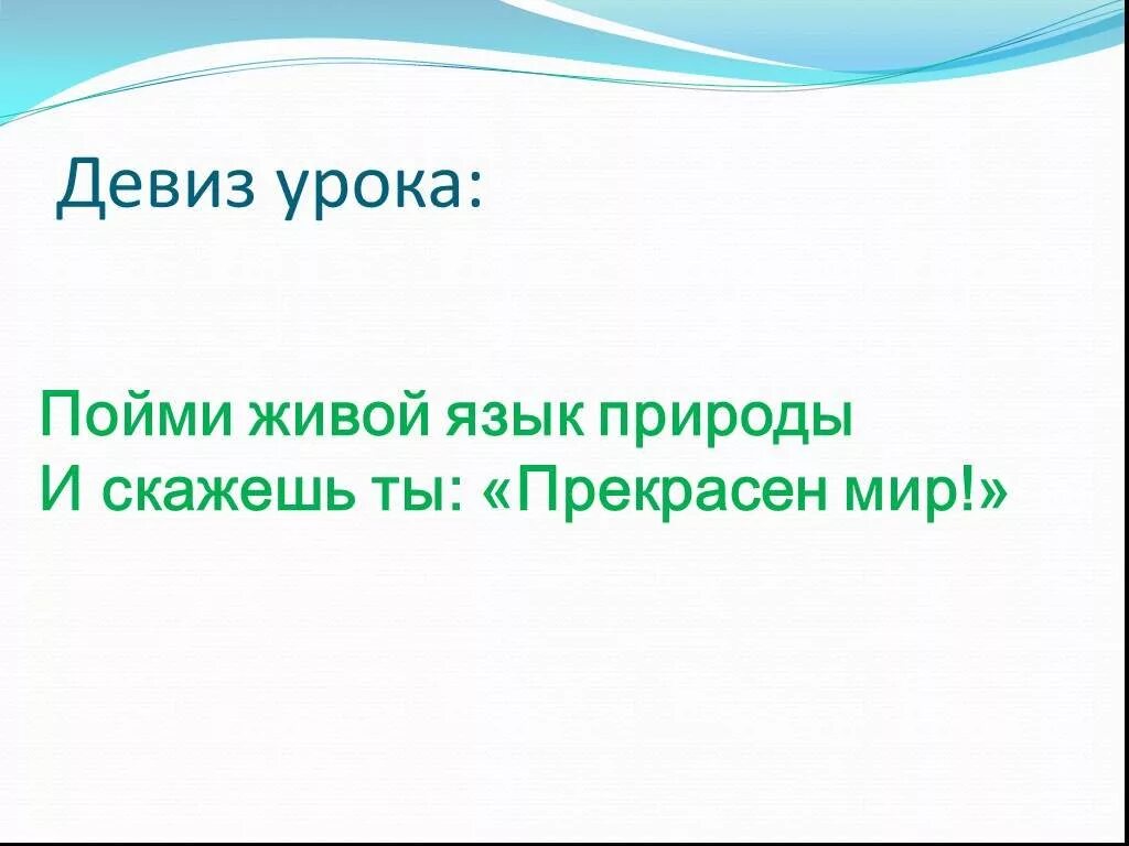 Живой язык перевод. Пойми живой язык природы и скажешь ты прекрасен мир. Живой язык природы. Девиз урока по окружающему миру. Пойми живой язык природы.