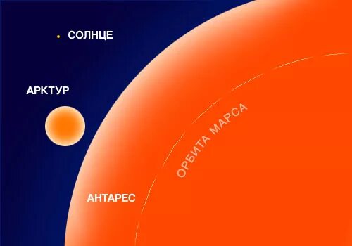 Где больше солнца. Звезды Арктур Сириус Антарес солнце. Арктур размер звезды в сравнении с солнцем. Антарес звезда сравнение с солнцем. Антарес самая большая звезда.
