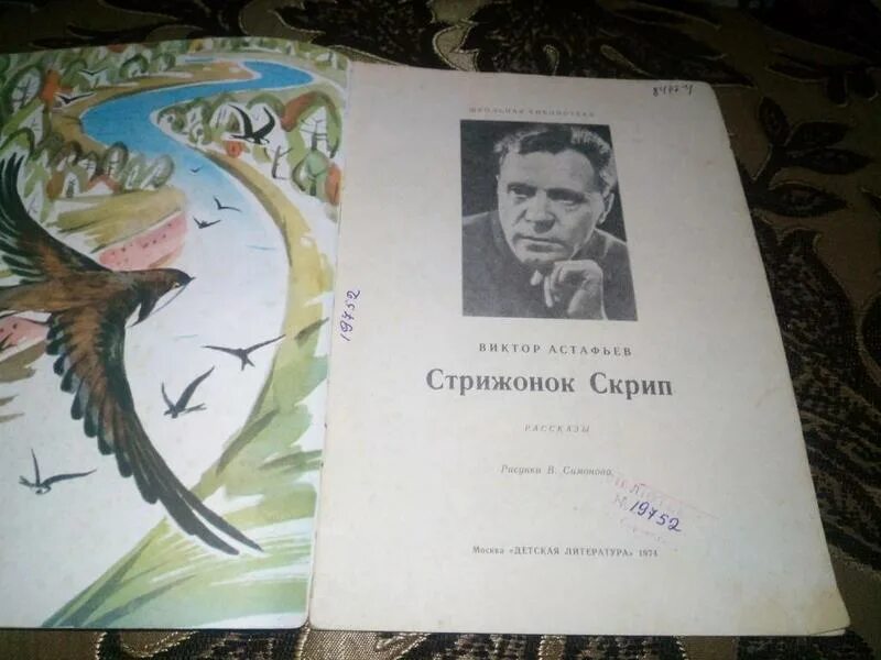 Стрижонок скрип. Астафьев в. "Стрижонок скрип". Стрижонок скрип Стрижонок. Стрижонок скрип сделать план