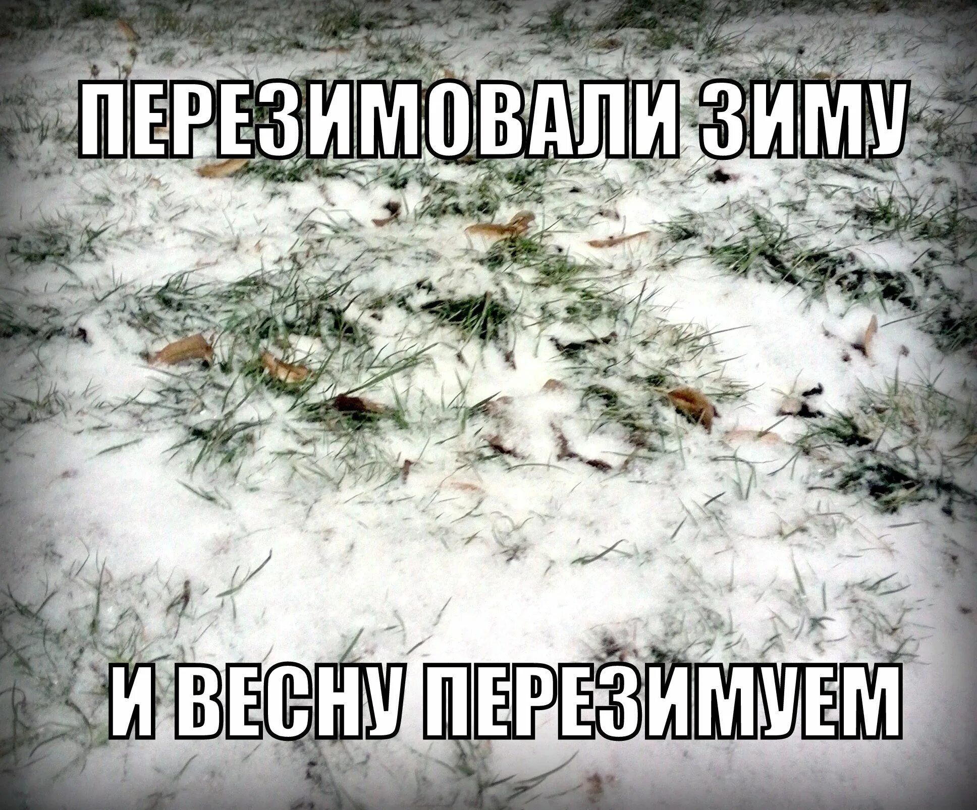 Зима закончилась и вот я начинаю жить. Зима заканчивается. Приколы про снегопад в марте. Шутки про снег весной. Юмор про снег весной.