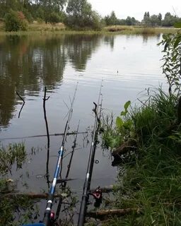 Рыбалка курск