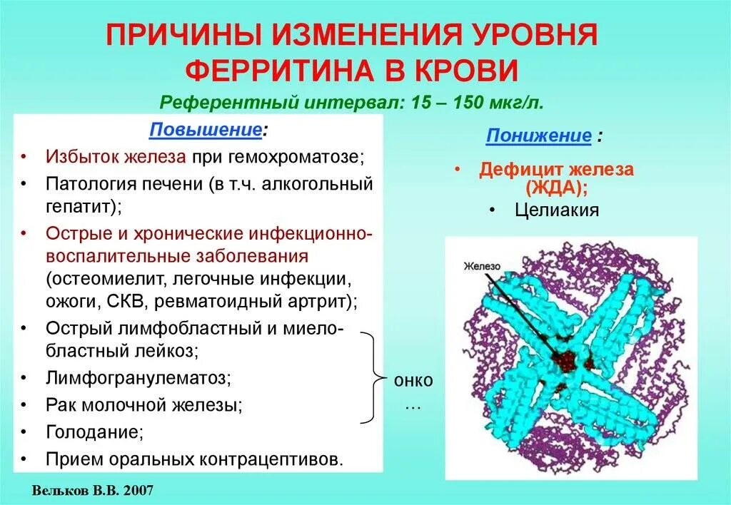 Ферритин понижен железо