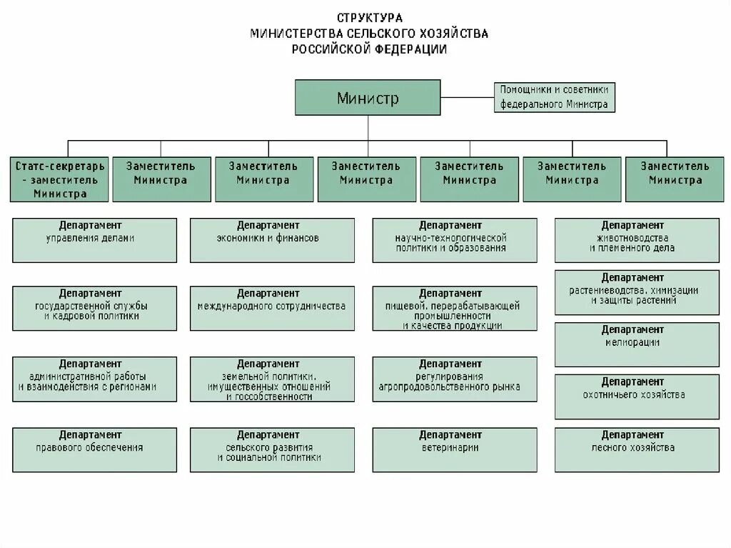 Министерство ведомство входят. Департамент ветеринарии Министерства сельского хозяйства РФ. Схема департамента ветеринарии Минсельхоза РФ. Организационная структура Министерства сельского хозяйства РФ. Структура Министерства сельского хозяйства РФ схема 2022.