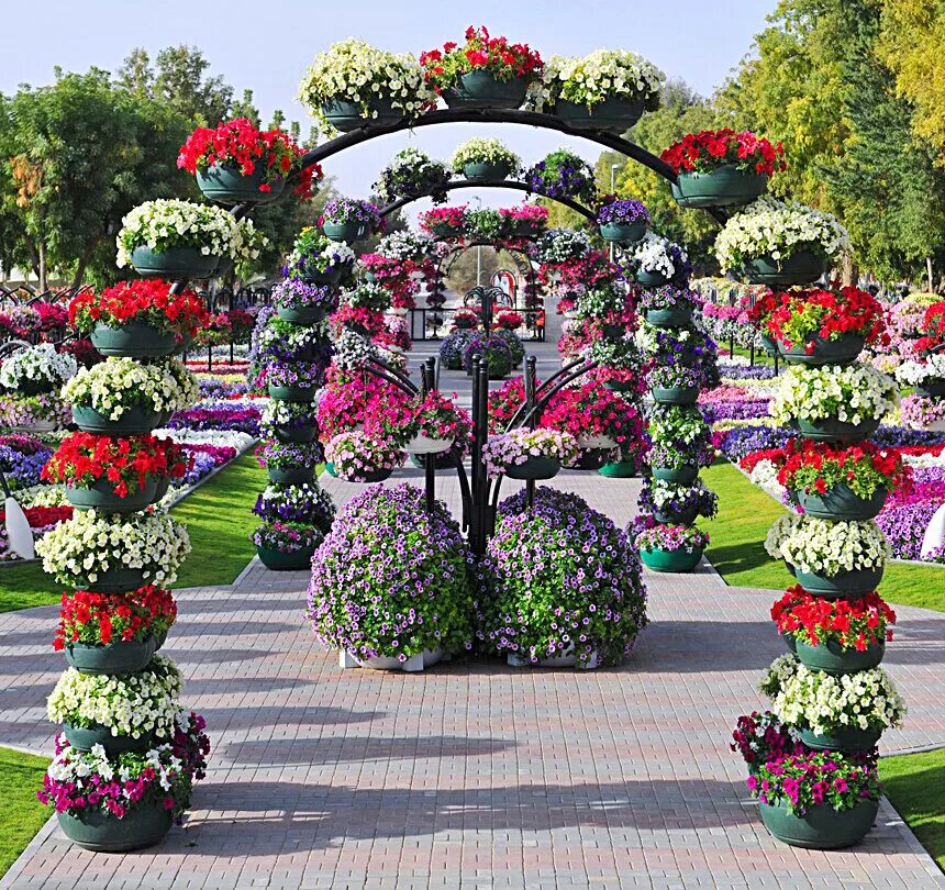 Flowers paradise. Al Ain Paradise парк. Парк цветов Райский сад в городе Аль-Айн. Цветочный парк Парадиз в ОАЭ. Парк цветов в Аль-Айне (г. Аль-Айн).