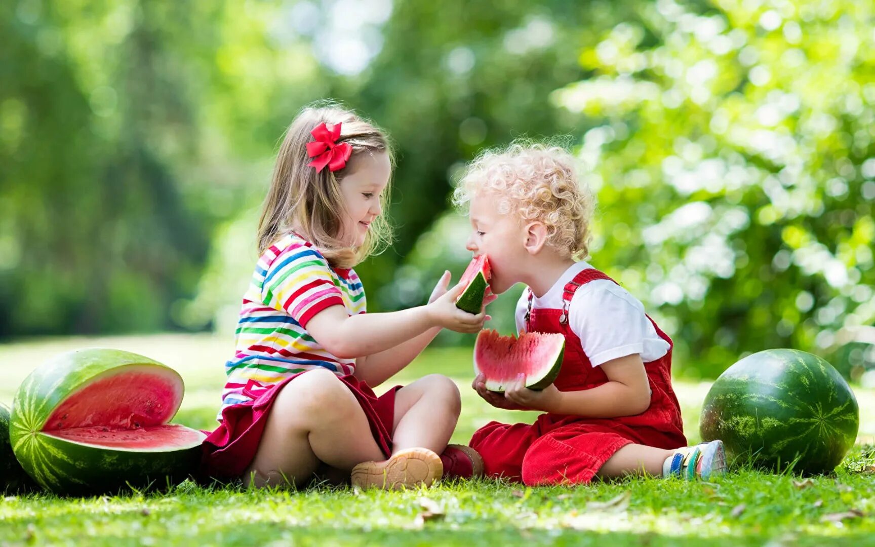 собственный делиться. собственный делиться. собственный делиться. обмен опытом. дети на природе летом.