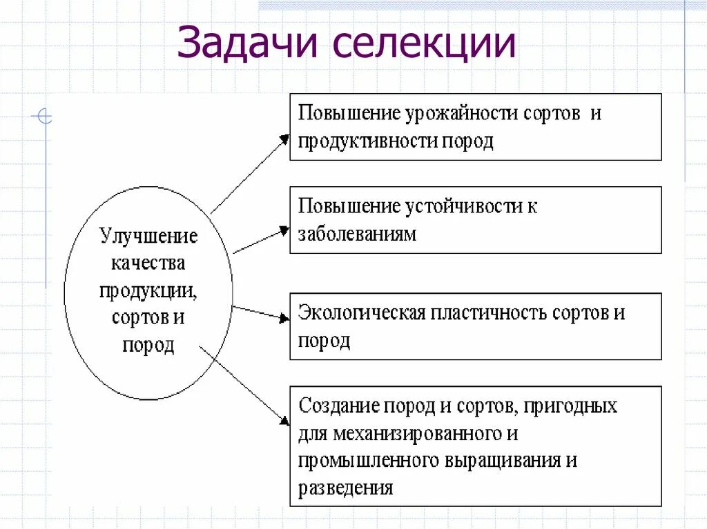 Селекция животных задачи. Задачи и направления селекции. Задачи современной селекции биология. Основные задачи селекции. Задачи селекции биология кратко.