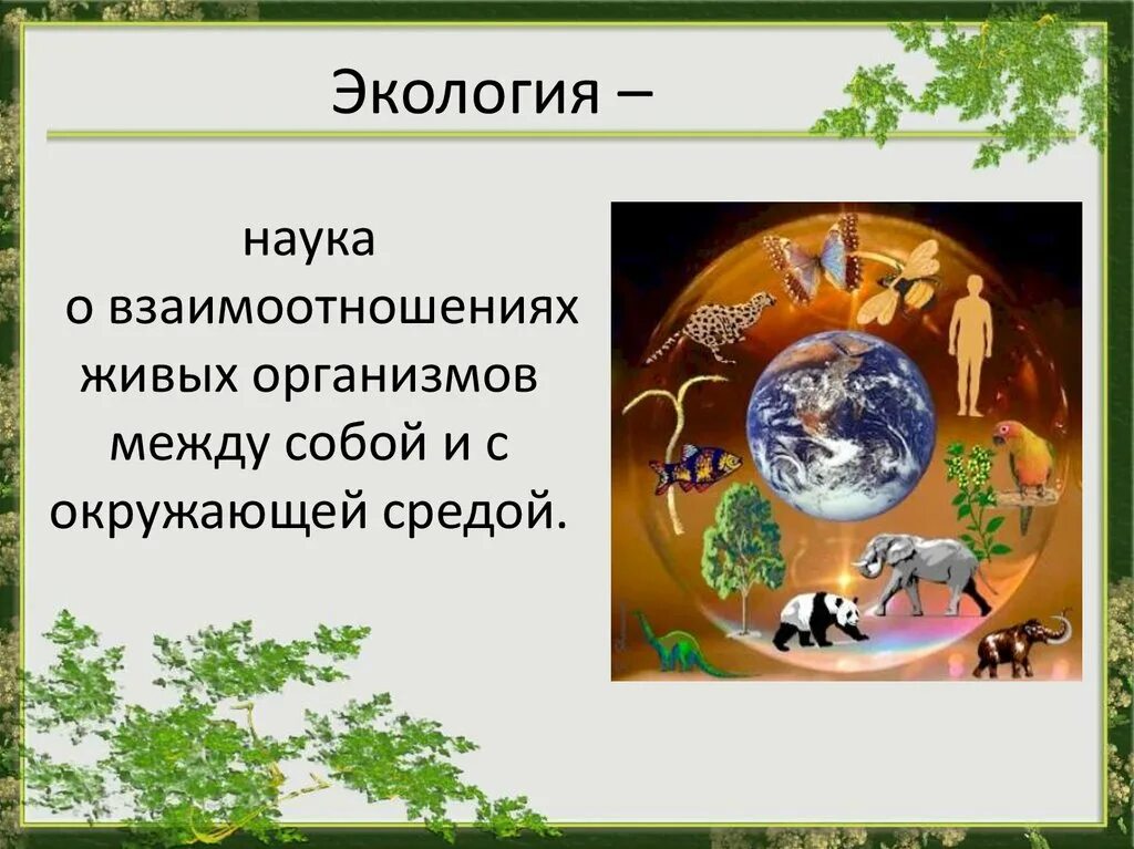 Экология это наука. Экология презентация. Презентация на экологическую тему. Экология определение.