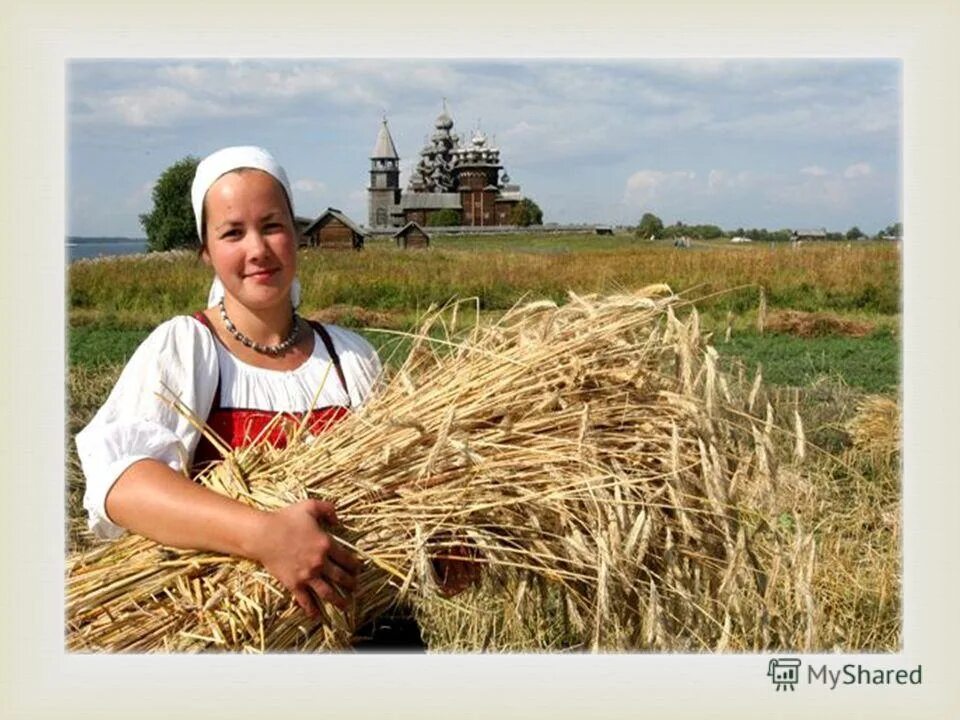 Собирают люди хлеб. День сельских женщин. Всемирный день сельских женщин. Женщины в сельском хозяйстве. Люди села.