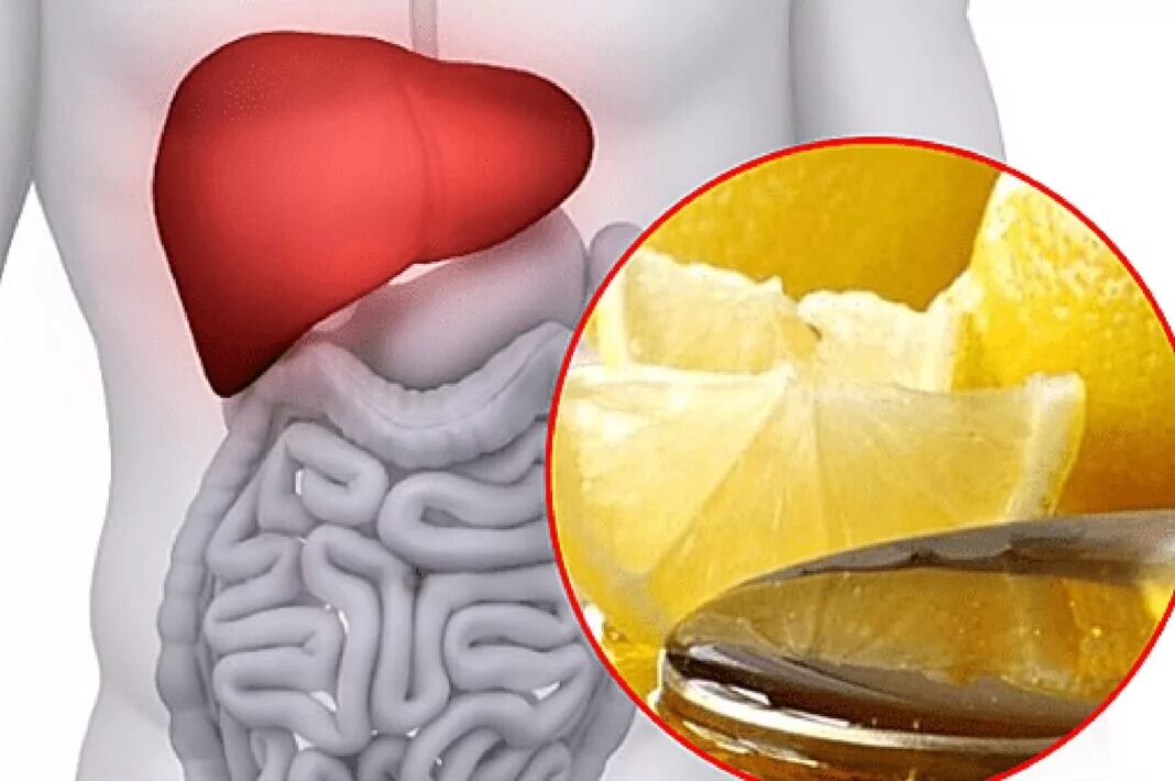 видео чистки печени