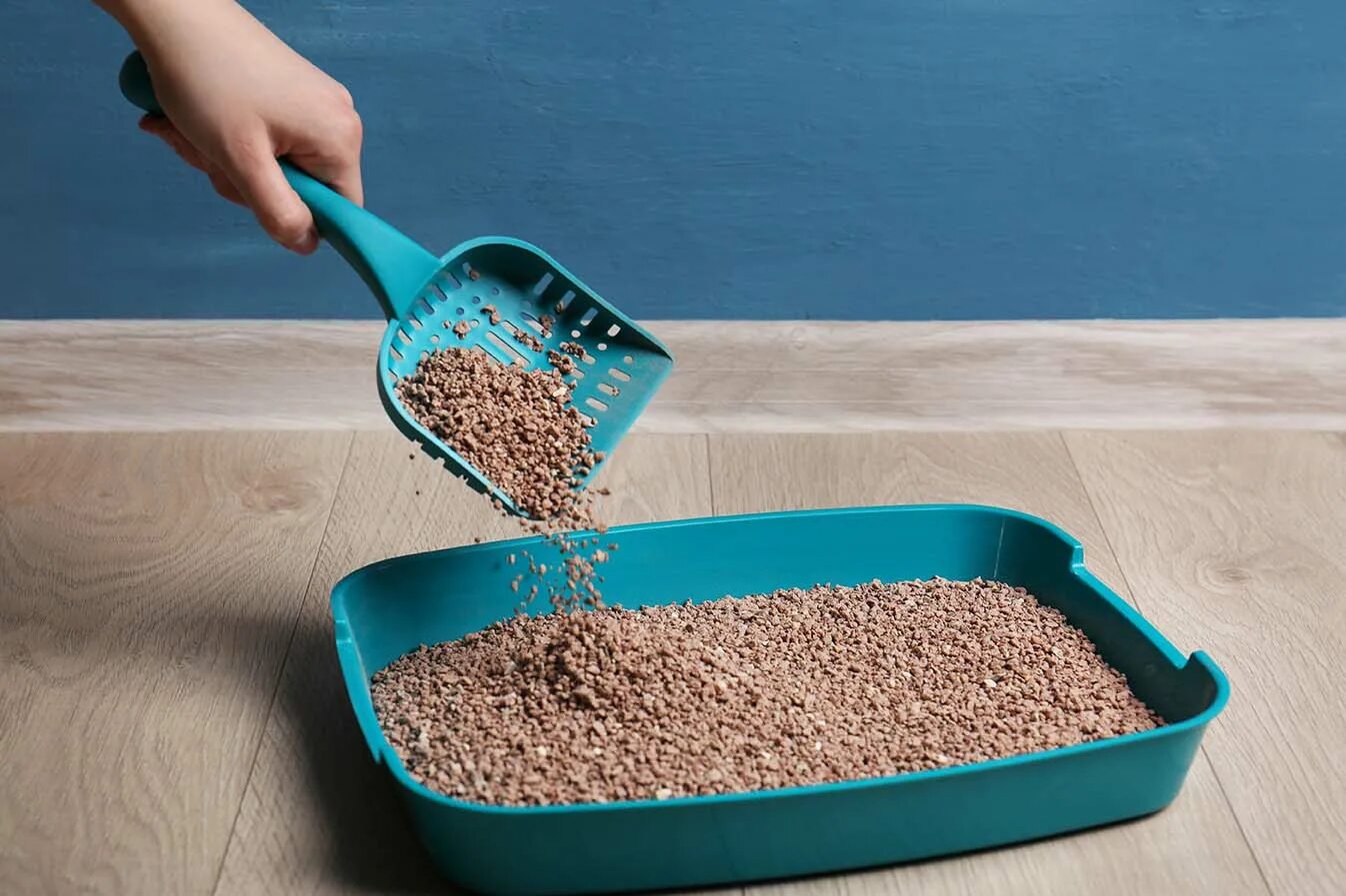 Как часто меняют кошачий туалет. Кошачий наполнитель фото стоковые. straight out the cat litter scoop 3. straight out the cat litter scoop 3 album. лоток с камушками как часто менять.