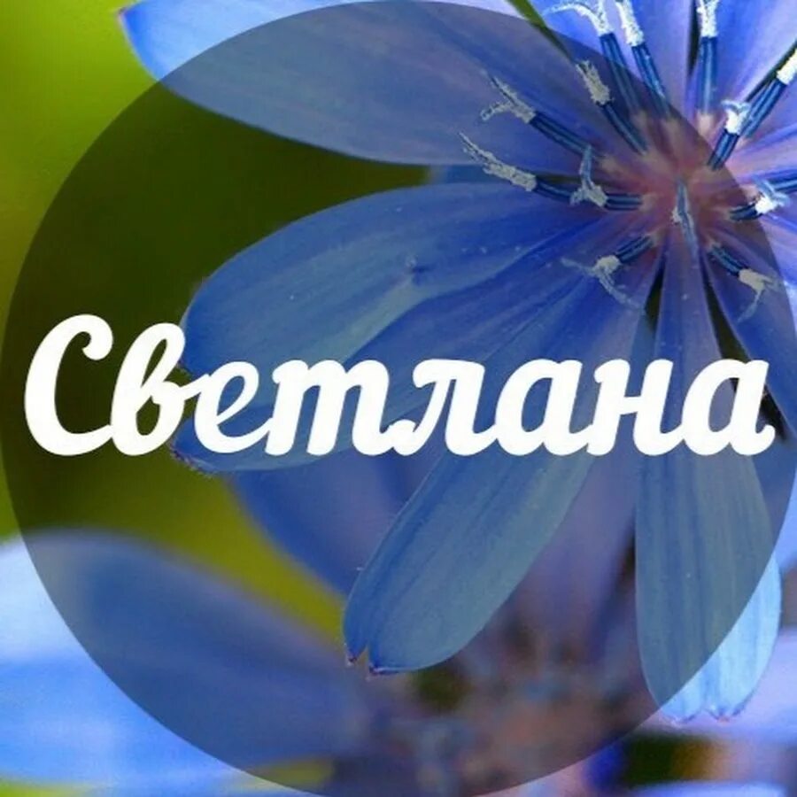 Красивая надпись свете. Света имя. Красивое имя света.