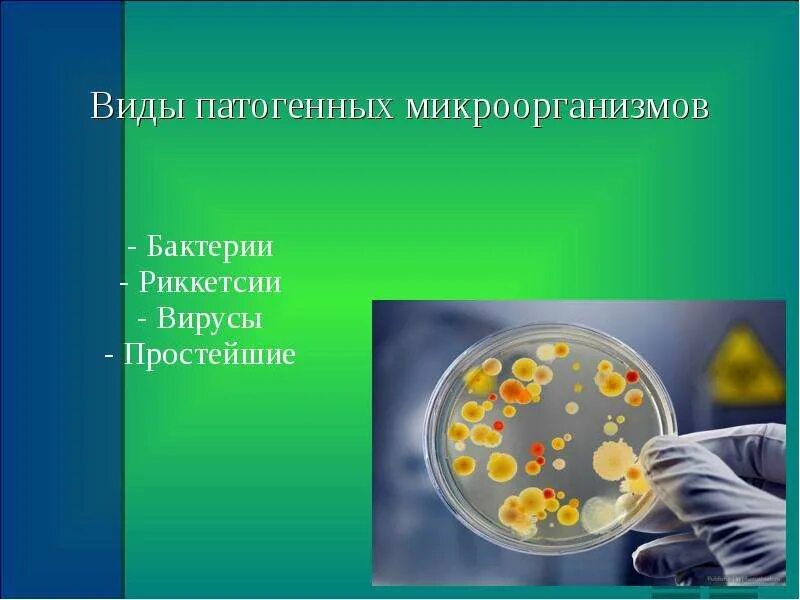 Представители патогенных бактерий. Патогенные микроорганизмы. болезнетворные бактерии патогенные. виды патогенных микроорганизмов. виды патогенных бактерий.