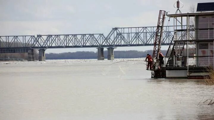 комсомольский железнодорожный мост через обь. первая на оби. школа 2 камень на оби алтайский край. железнодорожный мост через реку обь. достопримечательности камень на оби алтайский край.