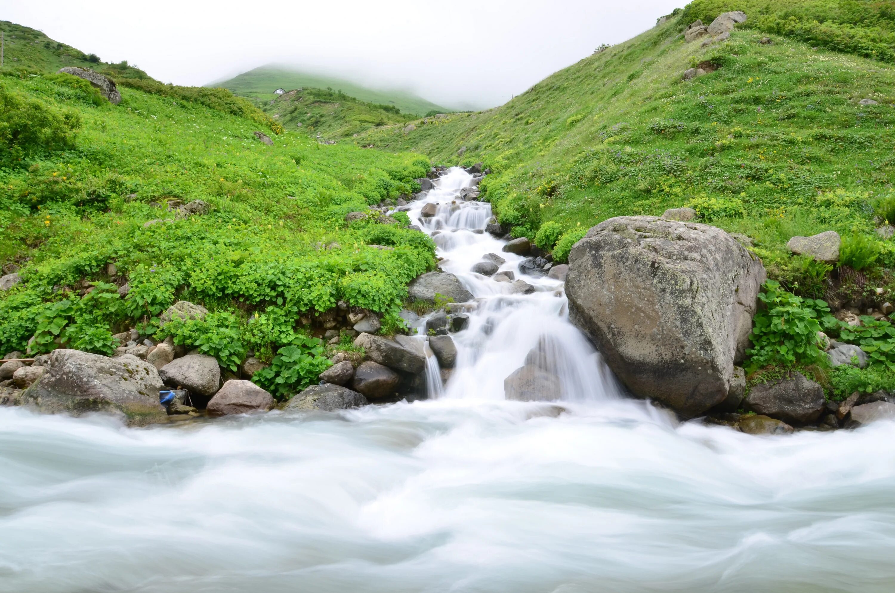 Река течет. Вода ручей. Река течет фото. Большая река течет тихо.