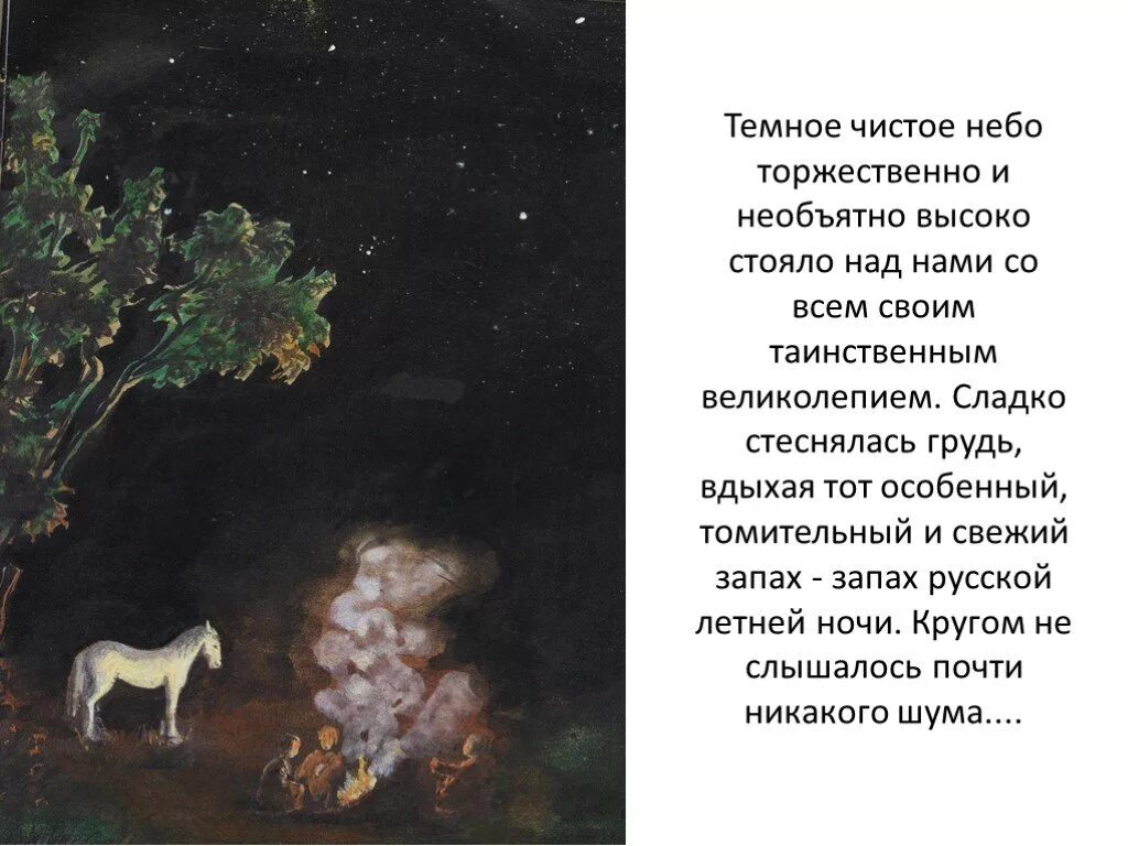 Описание рассказа бежин луг. Бежин луг ночь приближалась и росла. Кратко о бежином луге. Бежин луг описание природы. Тургенев и.