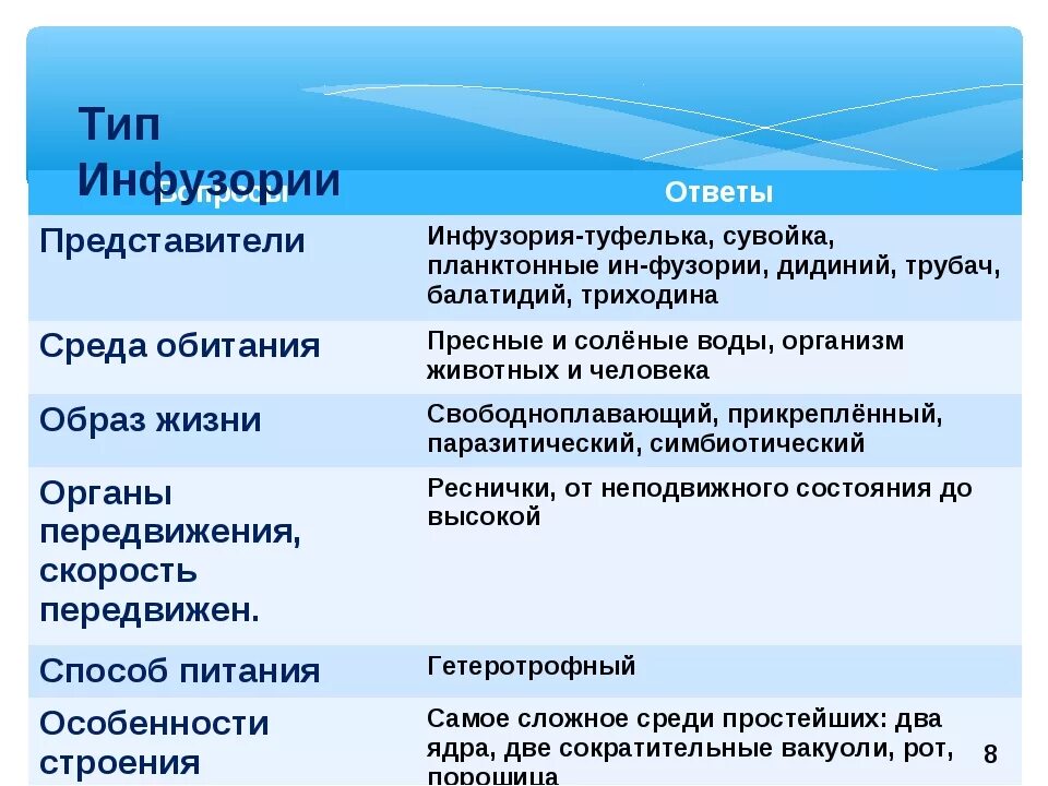 Инфузория туфелька какой органоид. Характеристика инфузории. Таблица особенности инфузорий. Инфузория туфелька таблица 8 класс биология. Характеристика класса инфузории.