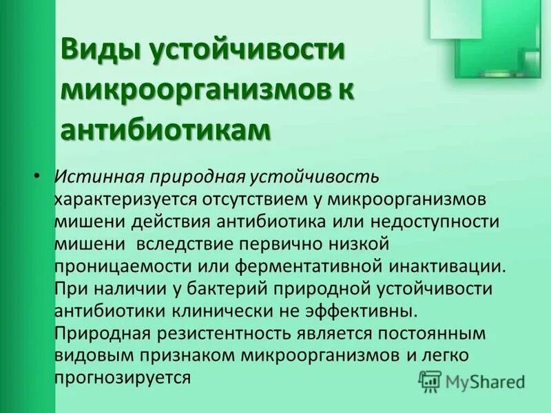 Бактерии устойчивые к антибиотикам