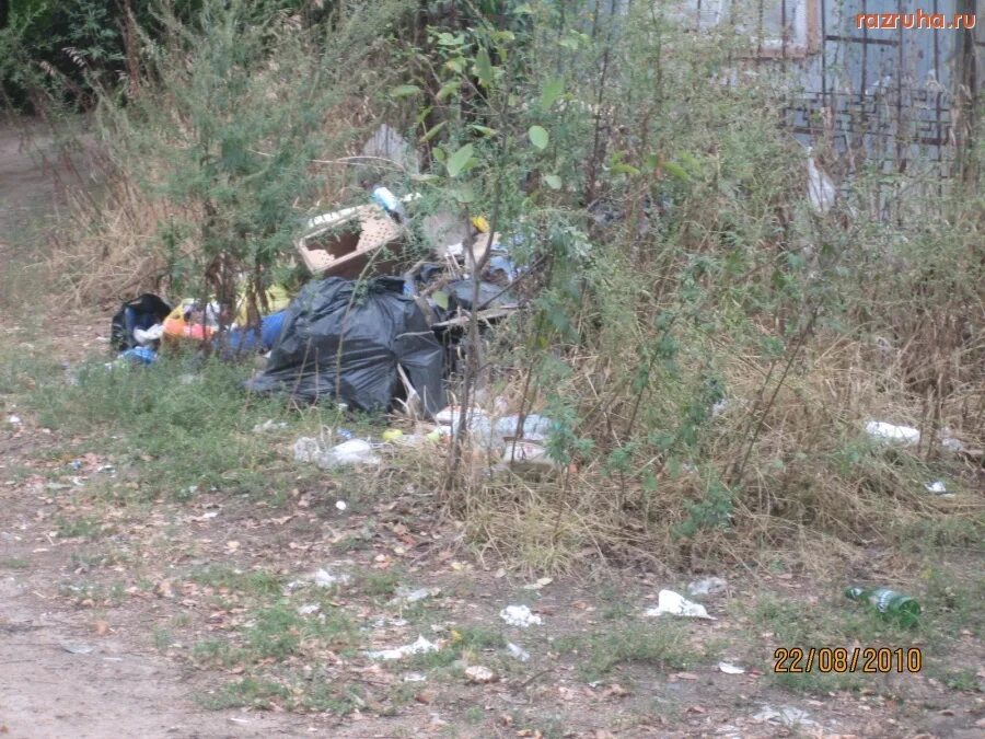 нииэи электроугли