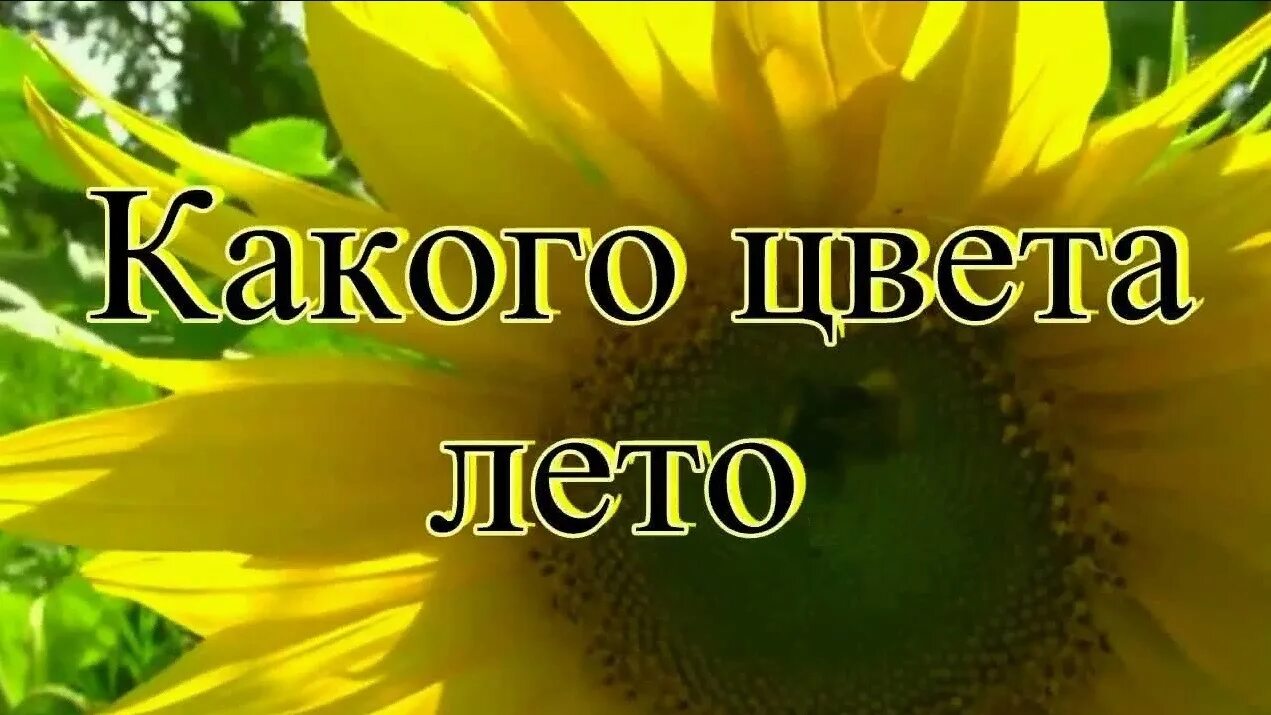 Детская песня какого цвета лета. Какого цвета лето. Надпись какого цвета лето. Какого цвета лета. Картинка про лето лето ты какого цвета.