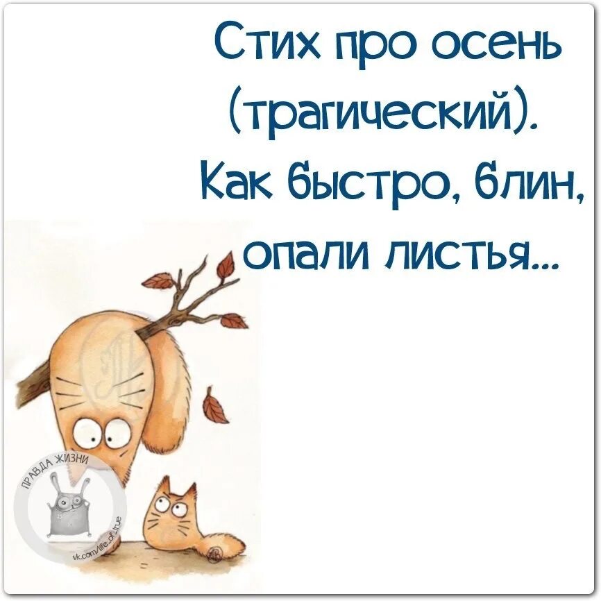 Шутливое четверостишие. Смешные стихи про осень. Смешные фразы про осень. Смешные цитаты Протосень. Смешные афоризмы и высказывания.