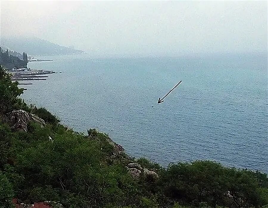Карадагский змей в крыму. Карадагский змей фото. Карадагский змей. Карадагское чудовище в крыму карадагский змей монстр. Карадагский змей.