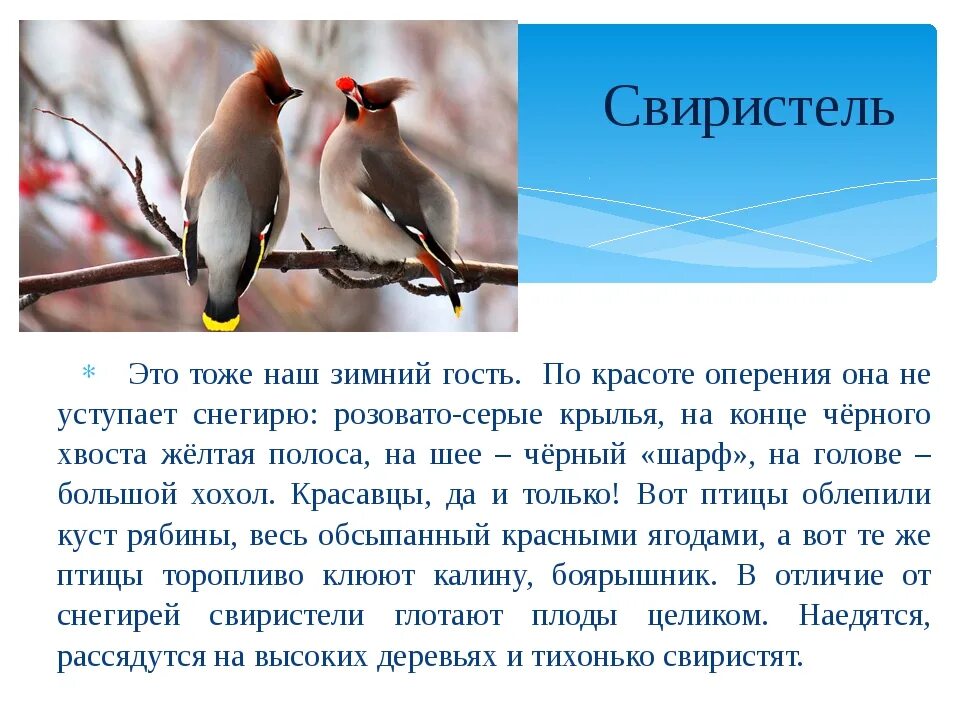 Январь сообщение