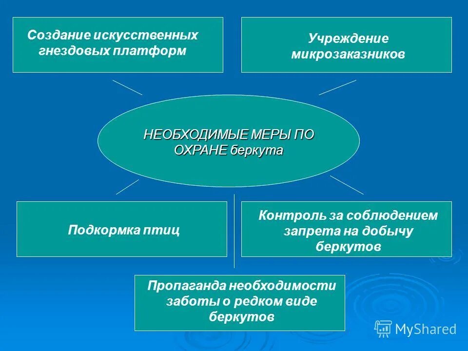 учение аристотеля об обществе. структура общества по аристотелю.
