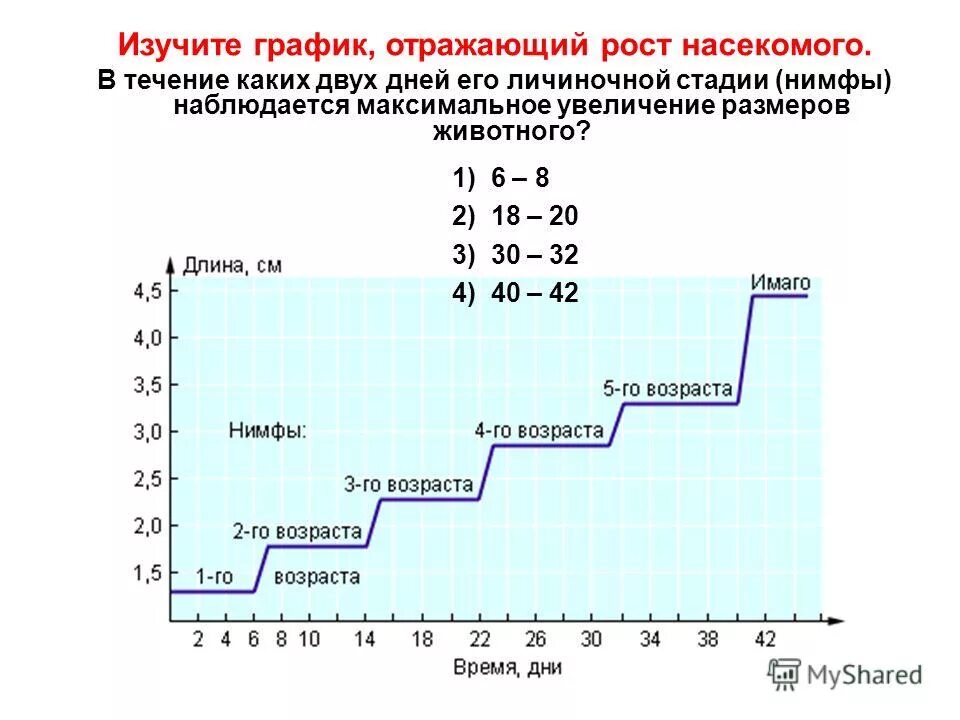 изучите график отражающий динамику размножения