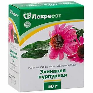 Эхинацея казань