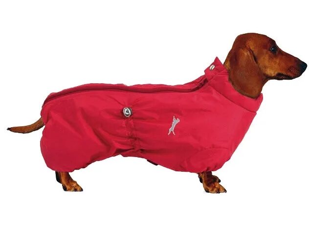 Gamma комбинезон зимний такса 41см. Комбинезон для таксы девочки. Комбинезон для таксы девочки. Комбинезон для таксы девочки. Комбинезон для таксы девочки.