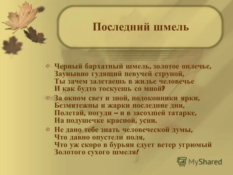 Стихотворение последний шмель. Последний Шмель Бунин. Стихотворение Бунина последний Шмель. Чёрный бархатный Шмель золотое оплечье. Чёрный бархатный Шмель золотое оплечье заунывно гудящий.