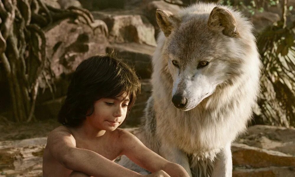 Человек-волк 2010 оборотень. Сумерки сага джейкоб волк. Peter the wolf 2006. Мальчик стал волком. Человек-волк 2010 оборотень.