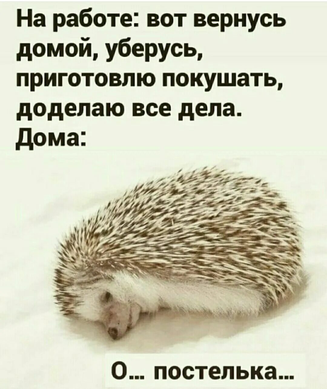 Думать вредно юмор. Что значит восвояси. Обозначение слова восвояси. Вам с собой или восвояси. Марсиане, убирайтесь домой (1989).