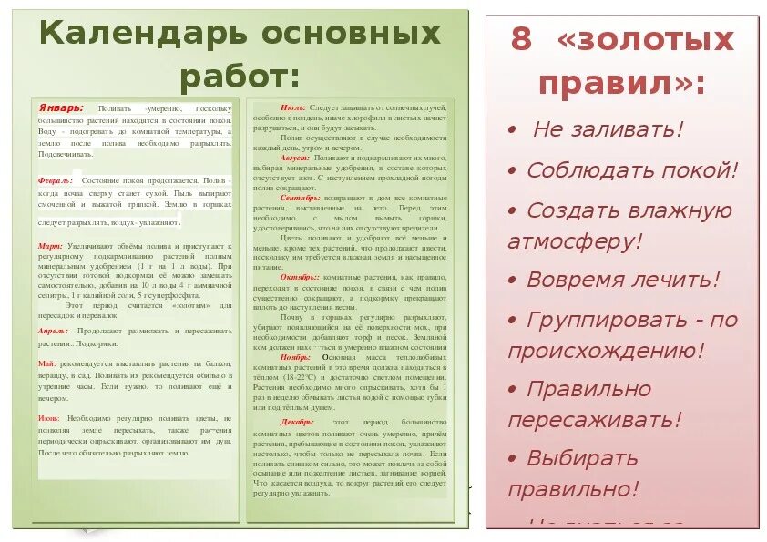 Календарь ухода за комнатными растениями март 2024. Буклет на тему комнатные растения. Брошюра по уходу за комнатными растениями. Буклет уход за комнатными растениями. Листовка по уходу за растениями.