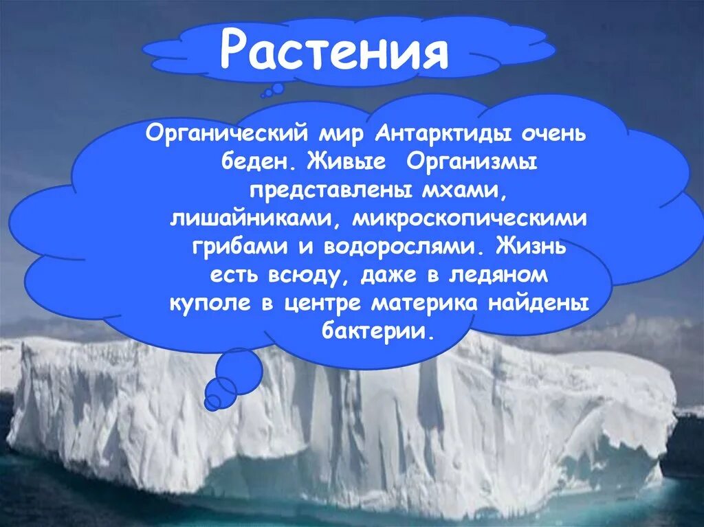 Антарктида презентация. Презентация на тему Антарктида. Сообщение о Антарктиде. Антарктида материк презентация.