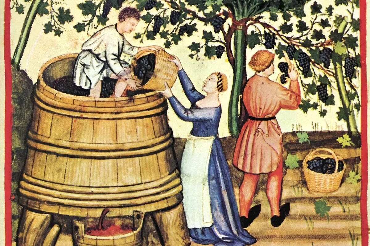 Виноделие статья. Виноделие в древней греции. tacuinum sanitatis. виноделие в древнем риме. виноделие в средневековой франции.