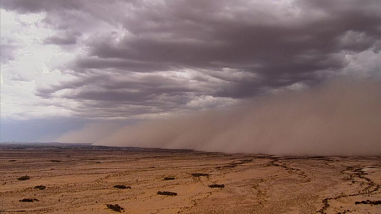 Самум это. Сахара Песчаная буря. Самум в пустыне. Песчаная буря в пустыне сахара. Сахара пыльная буря.