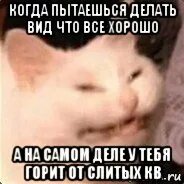 Что ты пытаешься делать