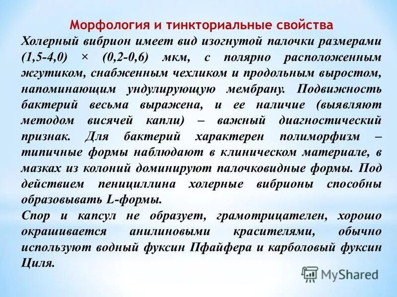 Известно что холерный вибрион вид подвижных. Холера морфологические и тинкториальные свойства. Морфология и тинкториальные свойства холеры. Морфология и тинкториальные свойства холерных вибрионов. Холерный вибрион морфология.