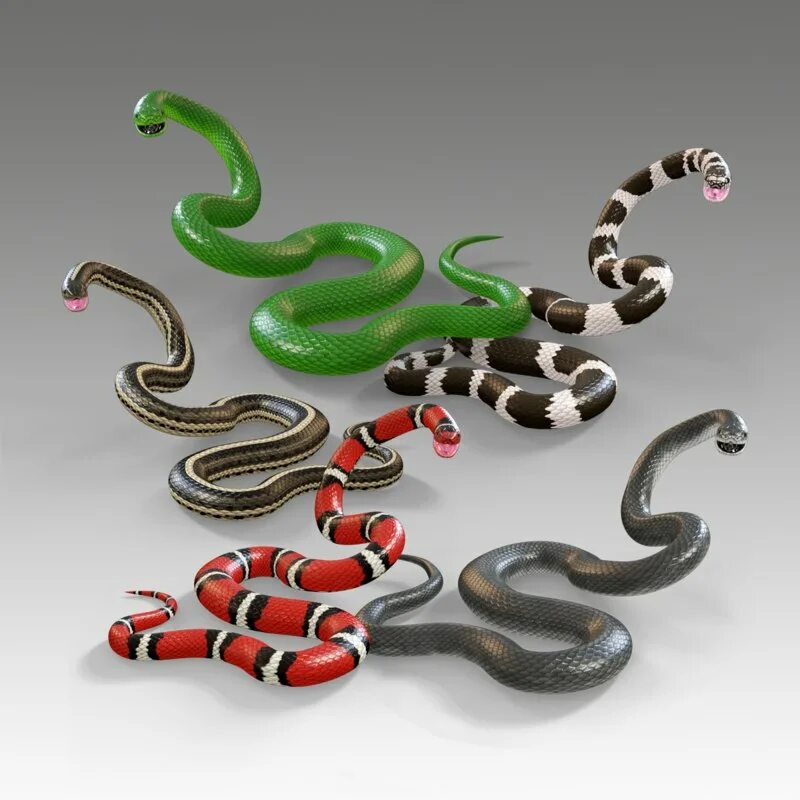 D snake. Модель змеи. 3д модель змеи. Макет змеи. Три змеи.