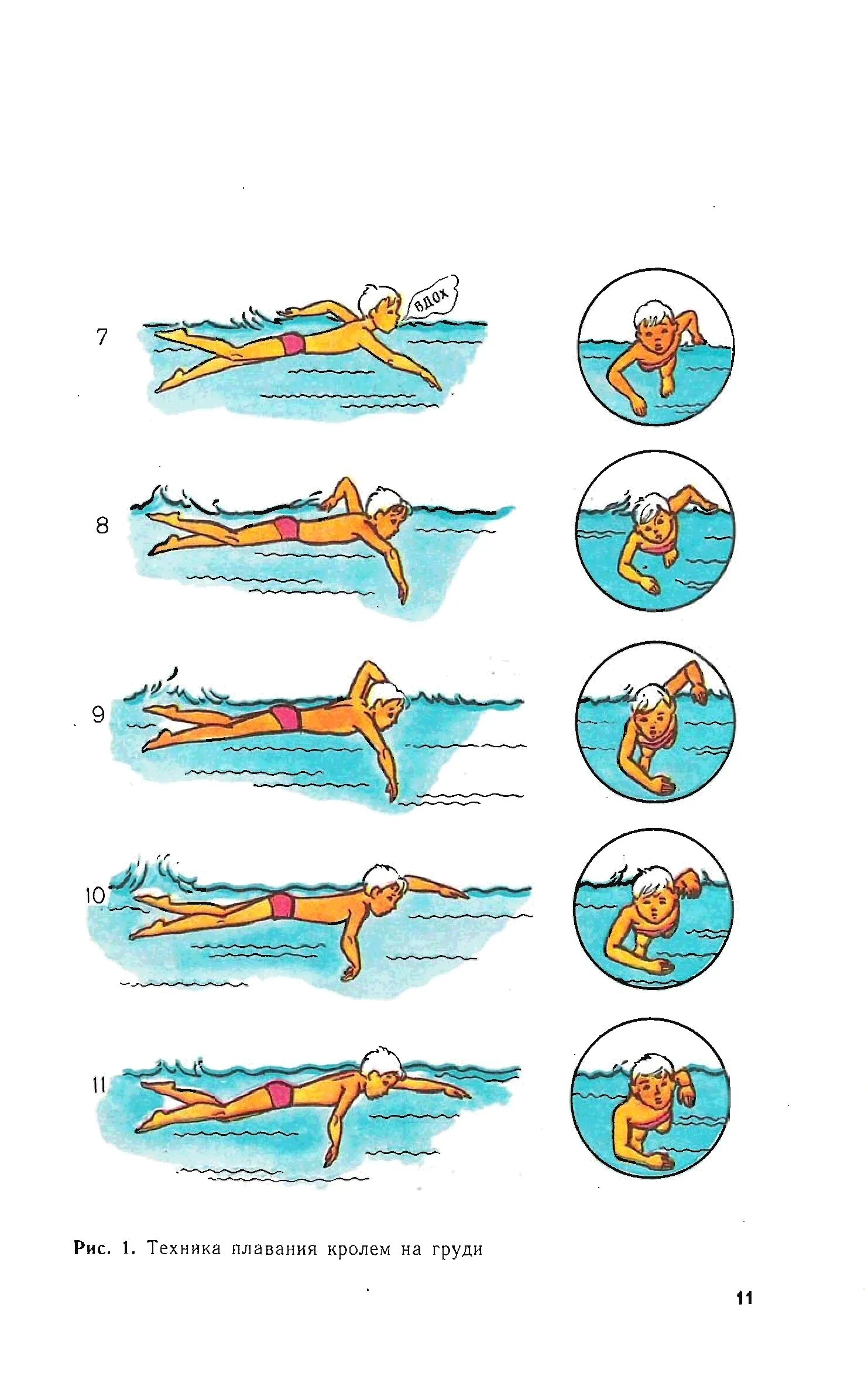 Обучение плавания кроль на груди. Стиль плавания Кроль техника. Техника плавания кролем. Техника плавания кролем пошагово. Кроль техника плавания схема.