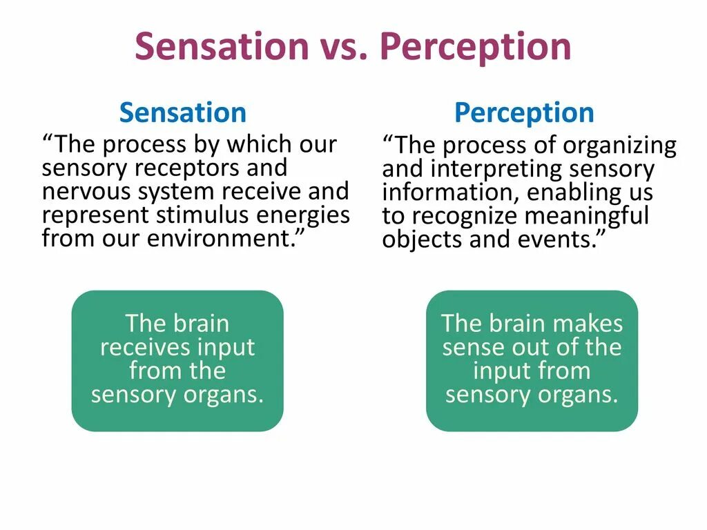 Sensation and Perception. Differences of Sensation and Perception. Perception process. The Psychology of Perception.