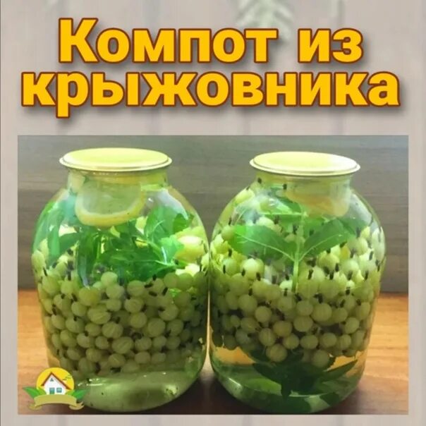 Рецепт мохито крыжовник мята на зиму. Компот из крыжовника мохито. компот из крыжовника мохито на зиму. мохито из крыжовника на зиму. компот из крыжовника с мятой.